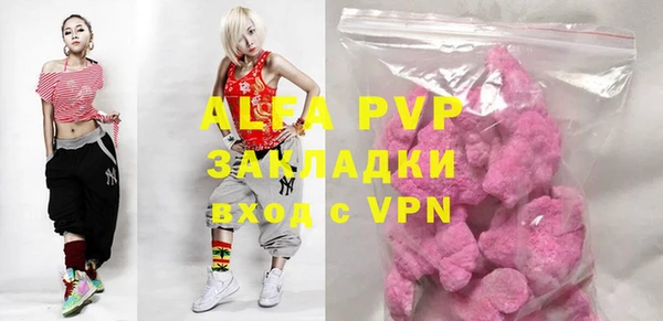 прущие грибы Ессентукская
