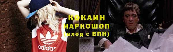 прущие грибы Ессентукская