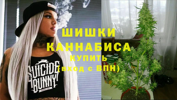 прущие крисы Новосибирск