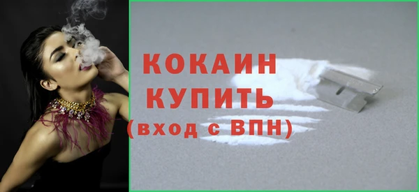 прущие грибы Ессентукская