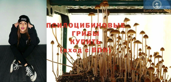 прущие крисы Новосибирск