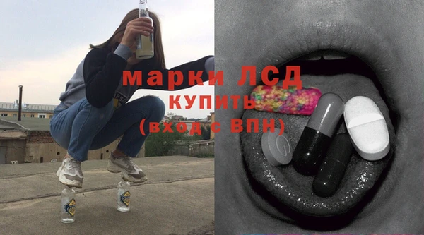прущие грибы Ессентукская