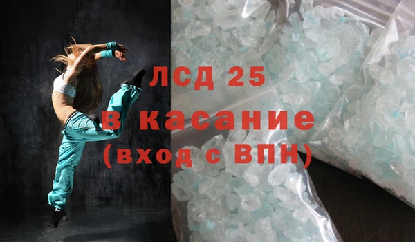 прущие грибы Ессентукская