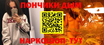 трава Кандалакша