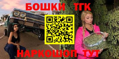 шишки Будённовск