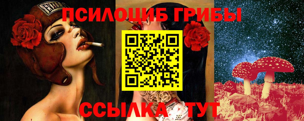 Галлюциногенные грибы Psilocybe  Галлюциногенные грибы ЛСД  Россия 