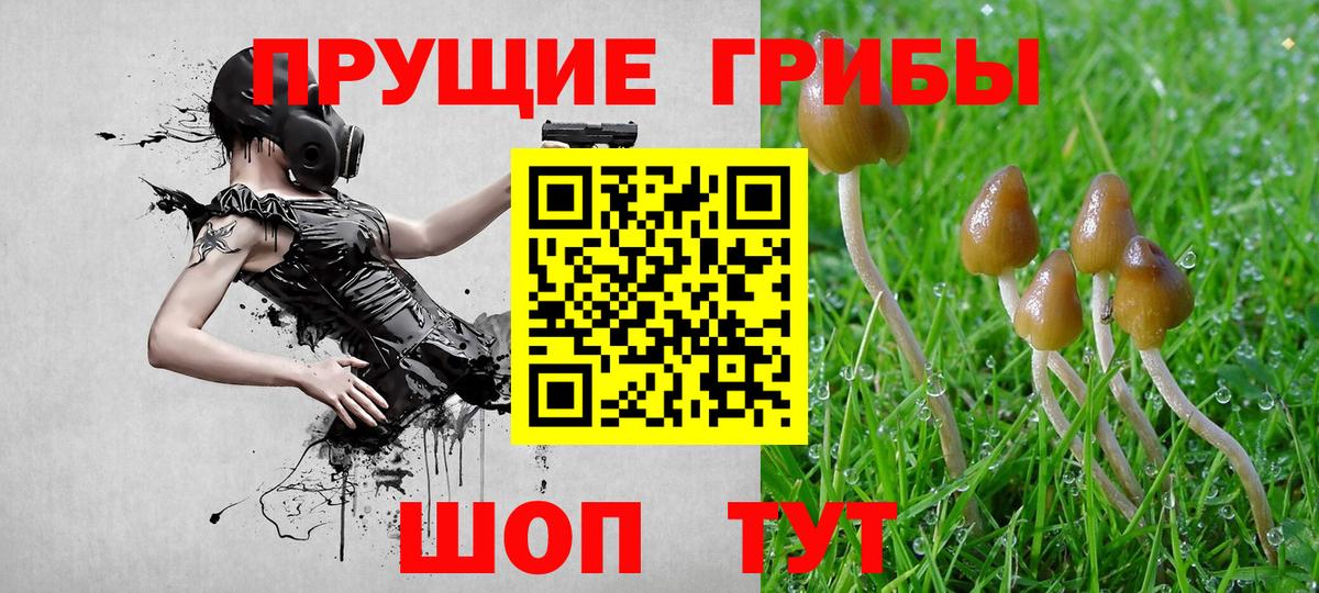 Псилоцибиновые грибы ЛСД  Вход с VPN  Россия 