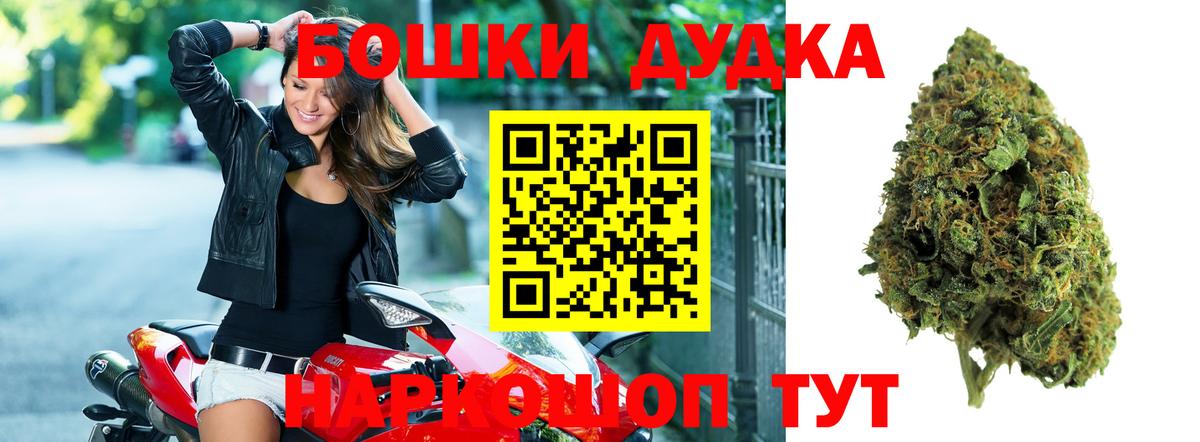 Галлюциногенные грибы Россия