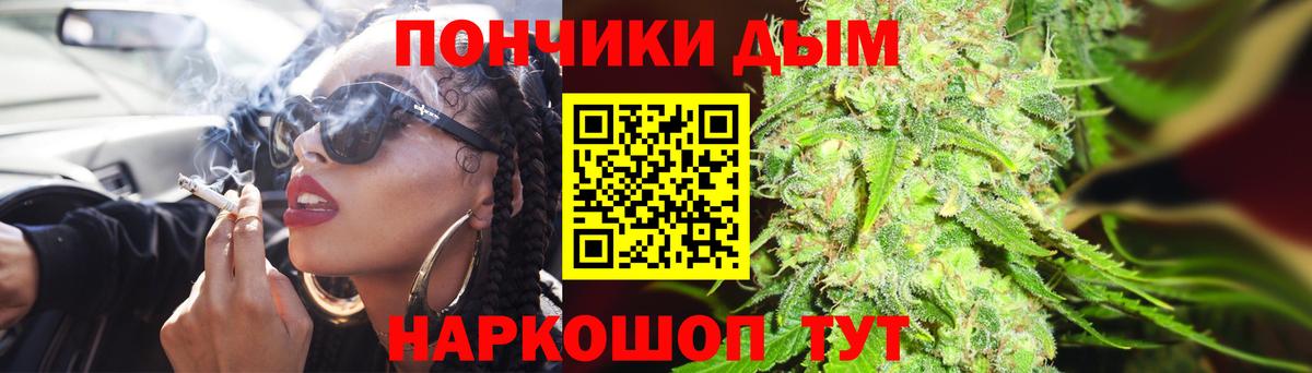 Бошки Шишки гибрид  Россия  Каннабис план  Марихуана индика 